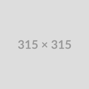 Krzewy róż, krzewy róż ogrodowych